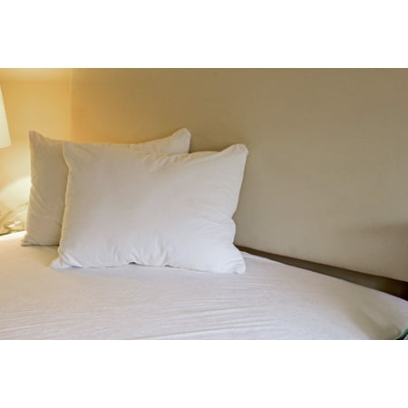 Assure Sleep Waterproof Zippered Encasement, Dust Mite & Allergy Control, Bed Bug Proof Breathable Pillow Protector, Set of 2, STANDARD/QUEEN