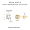 thumbnail image 6 of Rosec Jewels Lab Created Diamond Studs - EF-VS Quality Certified Half Carat Diamond Earrings with Screw Back - Ready to Gift, 14K Yellow Gold, 6 of 7