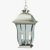 Trans Globe Lighting - Classic - One Light Outdoor Hanging Lantern Brushed