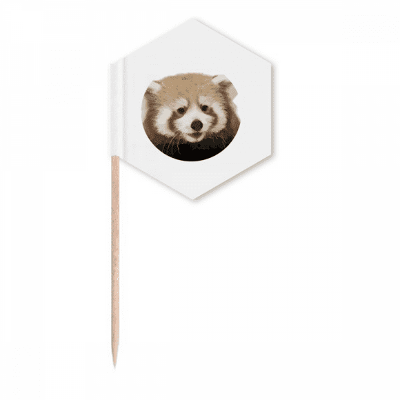 Brown Jungle Civet Cats Lovely Little Toothpick Flags Cupcake Picks Party Celebration