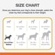 thumbnail image 5 of Juguete Masticable Nylabone Dura Chew Sabor a Tocino para Perro Medio, 5 of 8