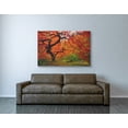 thumbnail image 4 of Cortesi Home ''Tree Fire'' by Darren White Photographic Print on Wrapped Canvas, 4 of 4
