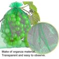 thumbnail image 2 of 50pcs Bunch Protection Bag 30x20cm, Grape Fruit Organza Bag With Drawstring, 2 of 5