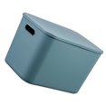 thumbnail image 1 of unbranded 1Ud Cesta De Almacenamiento Para Snacks Azul Caja Plástica Para Uso En Escritorio, 1 of 8