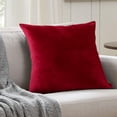 thumbnail image 1 of Funda para Almohada Euro EVOLIVE Micromink Suave Color Vino, 1 of 6