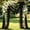 H, variant on Extra Large Wedding Arch Sheer Drape, 600x75cm Lawn Wedding Ceremony Scene Backdrop Decorative Polyester Curtain, for Wedding Ceremony / Hotel Banquet Scene Arrangement