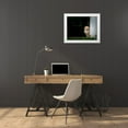 thumbnail image 3 of Galloimages Online 24x20 White Modern Wood Framed Museum Art Print Titled - Barn Cat 2, 3 of 4