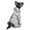 Blue, variant on Hooded Dog Raincoat Poncho Rain Cape Sun-Proof Waterproof Full Body Raincoat Jacket for Small & Medium Dogs Spring Summer Pet (XX-Large,Blue)