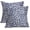 Light Blue, variant on Navy Cheetah Throw Pillow Covers 20X20 Inches Set of 2 Blue White Leopard Decorative Pillow Cases Animal Wildlife Pillow Cover Home Decor for Sofa Couch Housewarming Gift Bed Porch Outdoor
