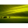 thumbnail image 2 of Banny, Peter 18x13 White Modern Wood Framed Museum Art Print Titled - Sunlight, 2 of 4
