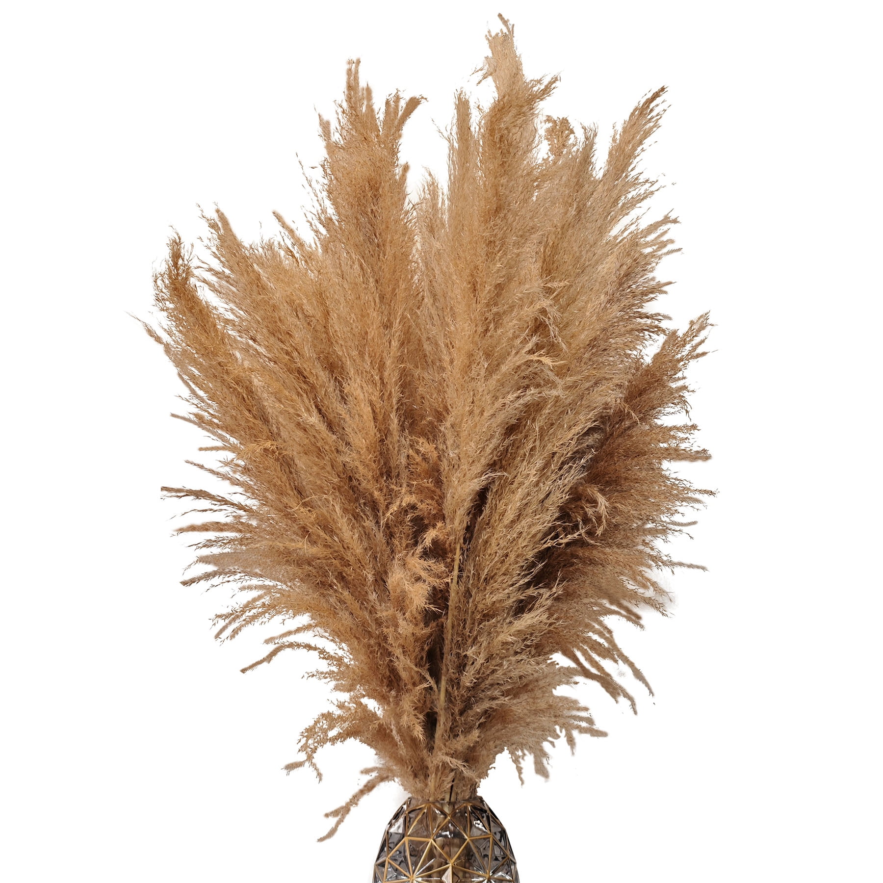 Nayoto  20 PCS 40 inches Bohemian Style Handpicked Pampas Grass Dried Flowers, Big Pampas Grass, Fluffy Grass, Dried Flowers for Wedding, Party