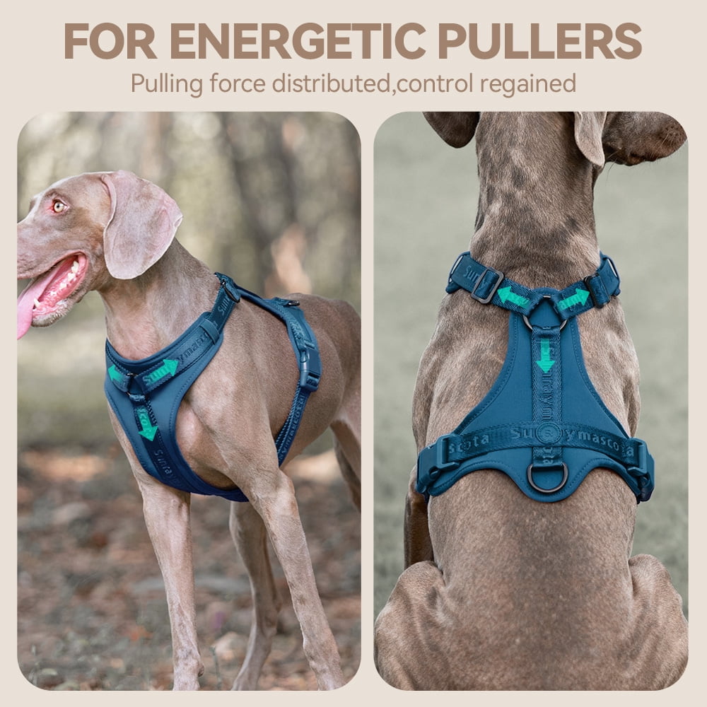 No Pull Dog Harness with Lycra, Three-Point Force Dispersion , Adjustable Breathable Mesh for Small Medium Large Dogs