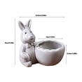 thumbnail image 3 of Reduced,BILIKEYU Mini Rabbit Succulent Planter,Small Decorative Pot for Plants, Easter Bunny Gift & Home Decor, 3 of 4