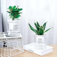 thumbnail image 4 of Plants Self-watering Flowerpot Flower Pot Automatic Water Absorption Flat Bottom, 4 of 9