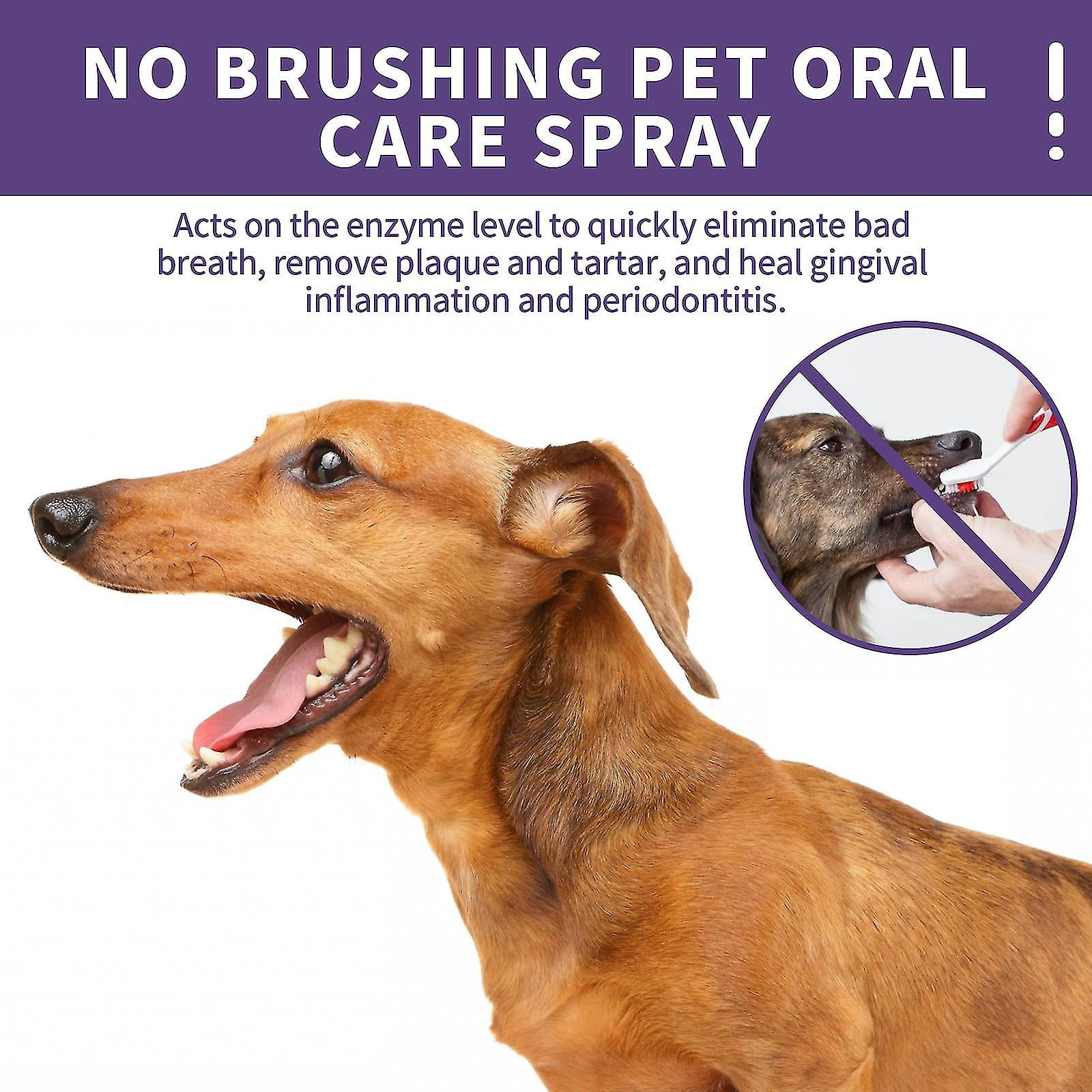 2pcs Pet Oral Spray For Dogs And Cats Natural Teeth Cleaning And Breath Freshener Walmart