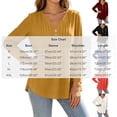 thumbnail image 2 of Vivianyo HD Women's Pleated V Neck Blouse, Tunic Shirts for Women Loose Fit Long Sleeve Top, Fall Office Casual Blouse for Daily Commute and Shopping Trips, Sizes S-2XL, 2 of 7