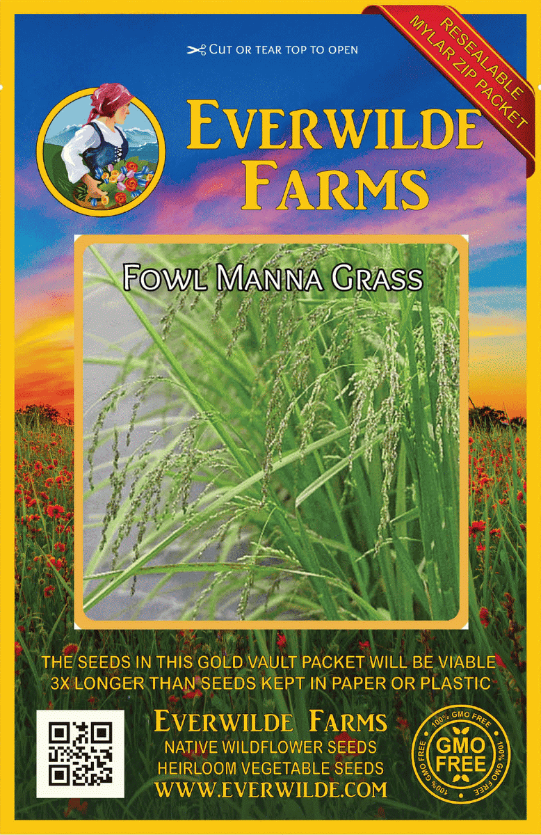 Everwilde Farms - 1/4 lb Fowl Manna Grass Native Grass Seeds - Gold Vault Bulk Seed Packet