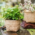 thumbnail image 5 of Straw Basket Style Concrete Planter, 5 of 10