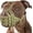 Green, variant on Pitbull Muzzle for Large Medium Sized Dogs to Prevent Biting Scavenging, Basket Muzzle for Rottweiler Staffordshire Terrier in Grooming Training, Allow to Pant Drink, Lightweight and Sturdy
