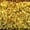 Gold, variant on Stretch Velvet Sequin Fabric, Glitter Spandex Material 48 Inch in Width | Arts and Crafts, Pink / Sample 3x3 Inch