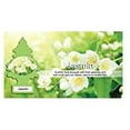 thumbnail image 5 of LITTLE TREES Jasmin Scented Automotive Air Fresheners, Pack of 24, 5 of 9