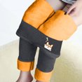 thumbnail image 2 of Leggings de mujer Invierno Térmico Forrado Súper Grueso Estampado de Cachemira Cintura Alta Cómodos Pantalones de Yoga Cálidos Pompotops  ulkah943251, 2 of 8
