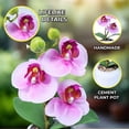 thumbnail image 3 of Accent Collection Pink Orchid Handmade Artificial Plants Indoor 9 inch 23 cm, 3 of 5