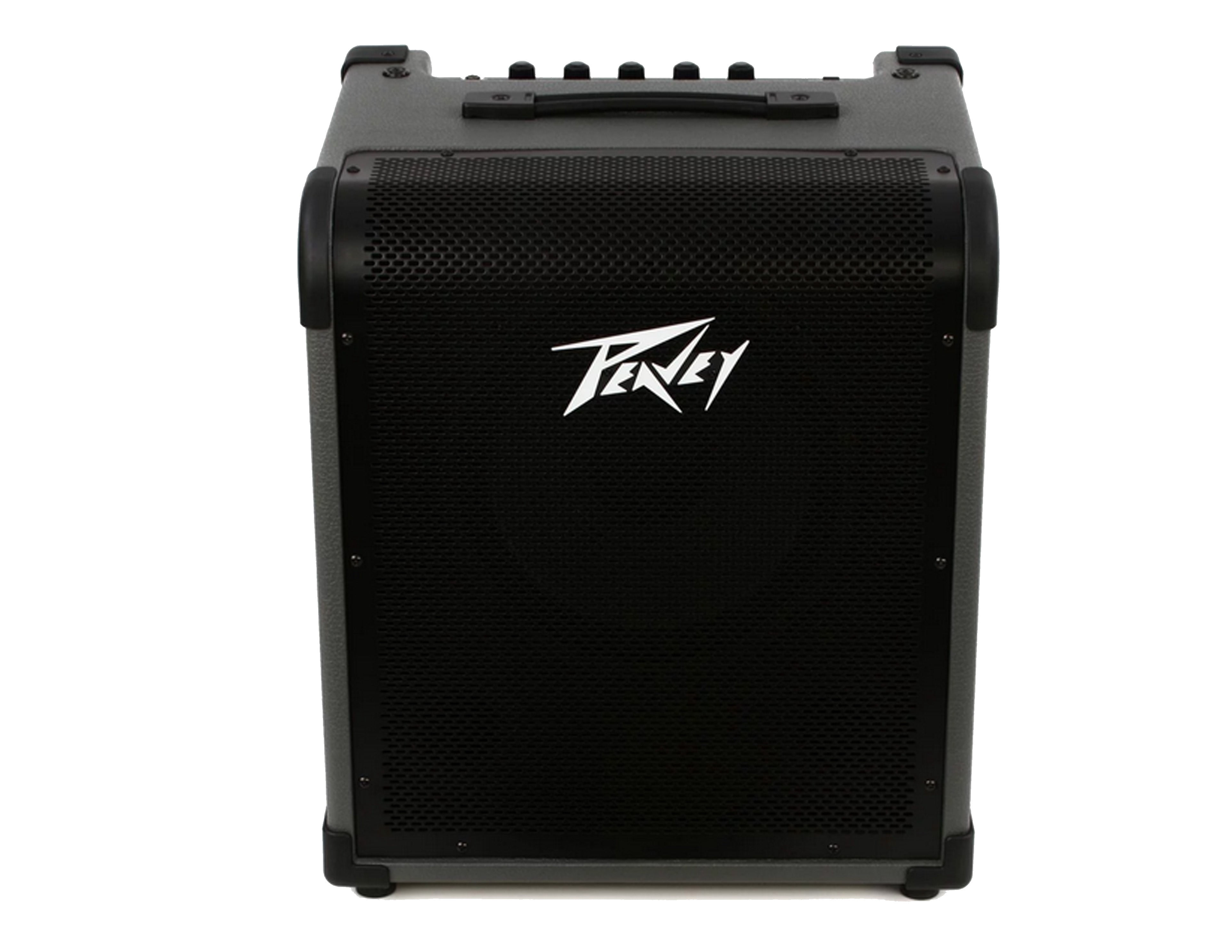 Peavey MAX100 1x10" 100-watt Bass Combo Amp+ Free Mr Dj Instrument Cable+Phone Holder