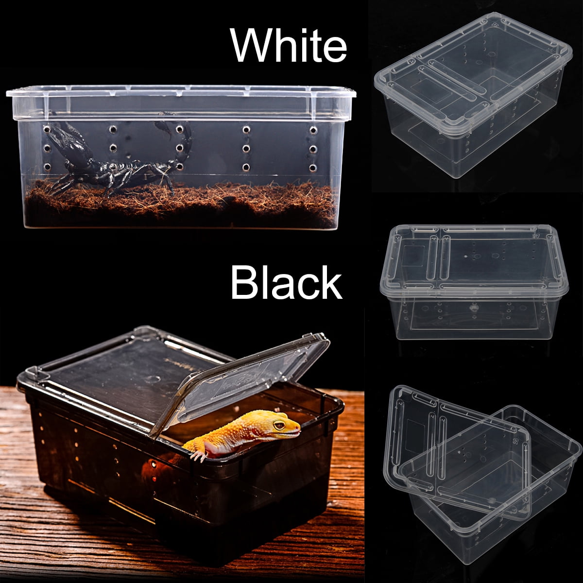 Reptile Tank, Insect Box, Transparent Vented Plastic, Transport