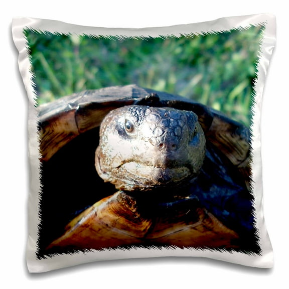 3dRose, gopher tortoise closeup head, 16x16 inch Pillow Case