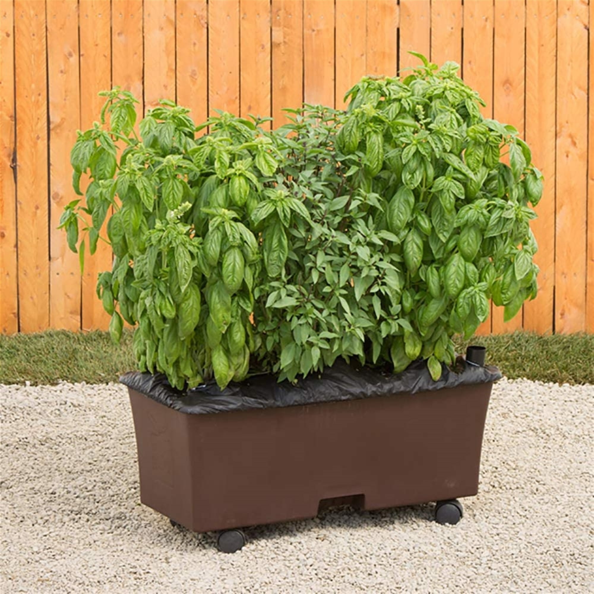 Novelty (#80153) EarthBox Organic Garden Kit - Chocolate