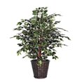 thumbnail image 1 of Vickerman 4' Artificielle Panaché Extra Plein dans un Panier en Rotin, 1 of 3