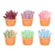 thumbnail image 1 of mini suculentas artificiales en maceta para decorar el hogar., 1 of 5