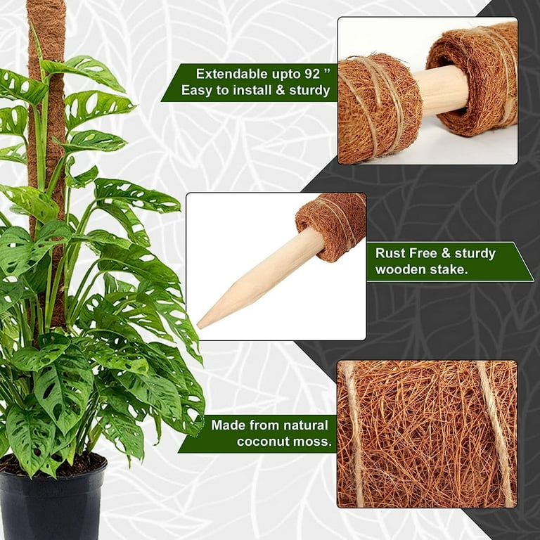 【新品未使用】MOSS STICK SW50 24-25 Moss-Pole-Plants-RUseeN-Poles-