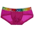 thumbnail image 6 of Bigersell Cotton Bikini Underwear Women Clearance High Cut Underwear Women Cheeky Panty Style P-485 Nylon Period Panties Thong Bikini Briefs Mid Waist Women Cheeky Panties Hot Pink XL, 6 of 6