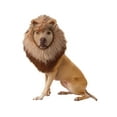 thumbnail image 1 of Lion Pet Costume, 1 of 1