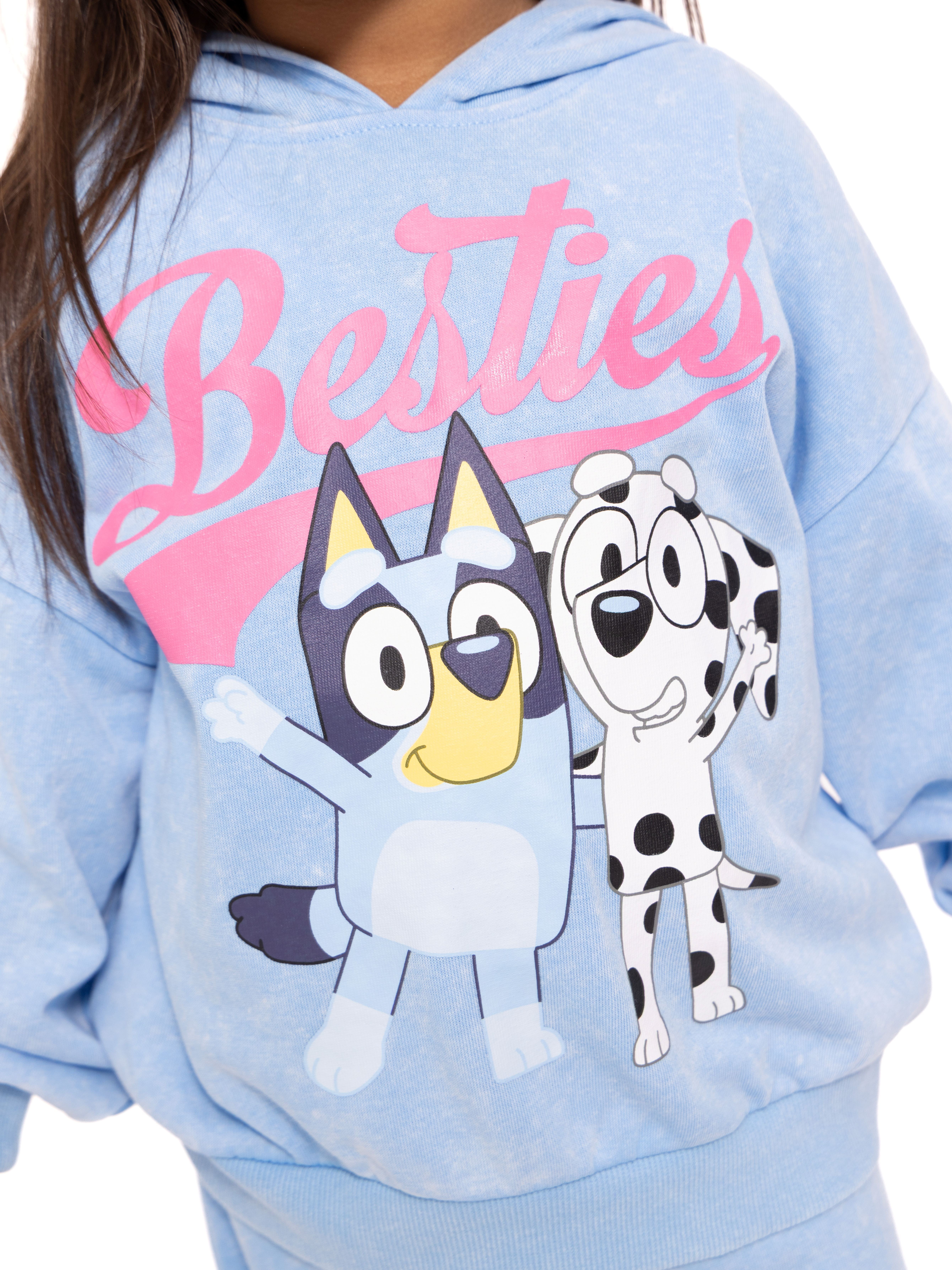Bluey Toddler Girls' Graphic Hoodie and Matching Sweatpants Set, 2-Piece, Sizes 12M-5T