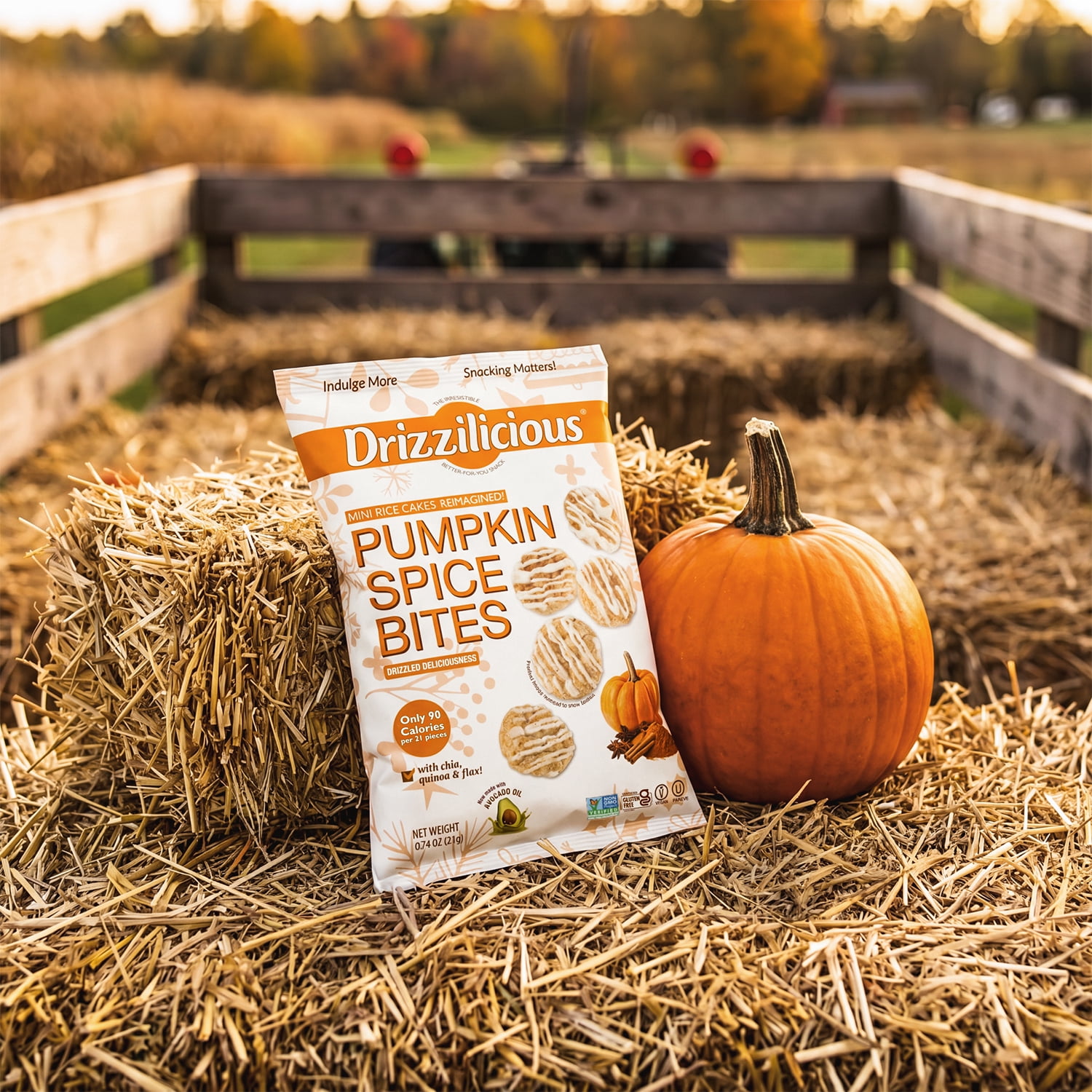 Drizzilicious Pumpkin Spice Mini Rice Cakes 0.74oz