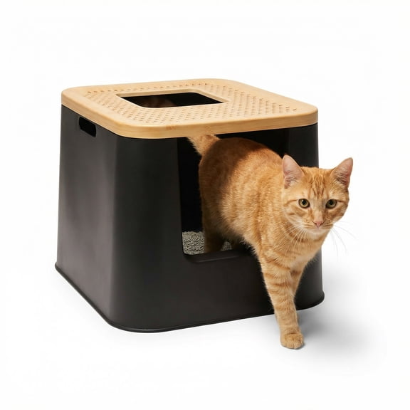 So Phresh Dual Entry with Top Exit Cat Litter Box Black