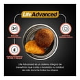 thumbnail image 4 of Croquetas para Perro Ganador Premium Adulto 10 kg Todas las edades, 4 of 4