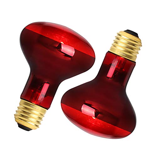 red light for lizards