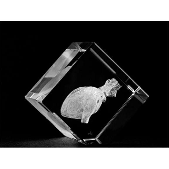 Asfour Crystal 1161-50-71 2 L x 2 H x 2 W in. Crystal Laser-Engraved Heart Medical Miscellaneous Laser-Cut