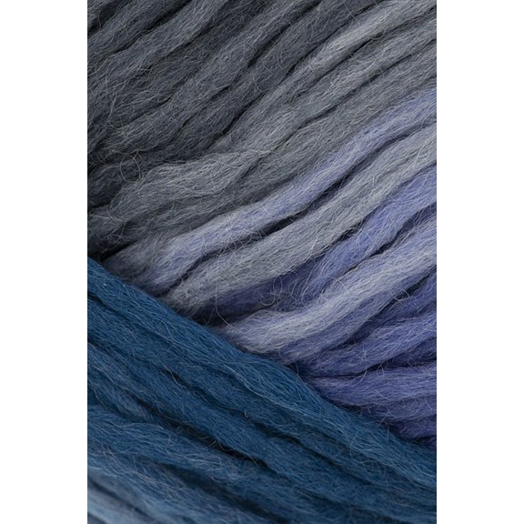 Schoppel Wolle - Reggae Ombre Knitting Yarn - Bavarian Winter Forest (# 2518)