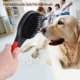 thumbnail image 2 of Cepillo para mascotas de doble cara, cepillo profesional de bambú con pasador y cerdas de doble cara para perros y gatos, cuidado de salón de protección (L), 2 of 5