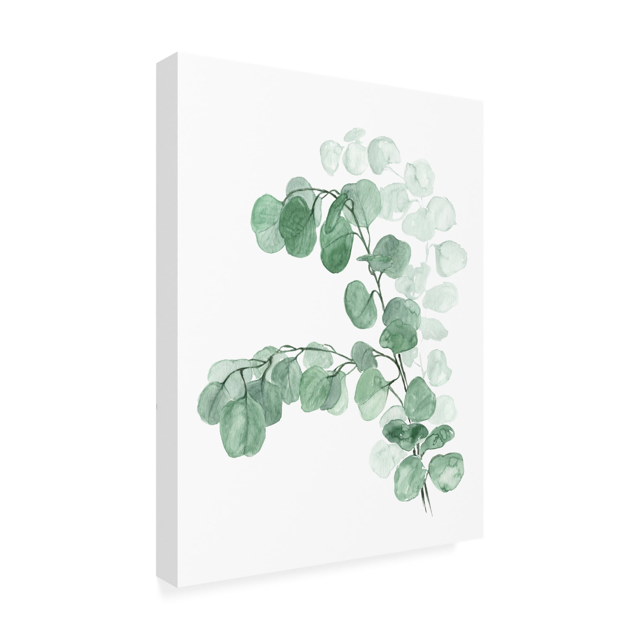 Trademark Fine Art Rosana Laiz Blursbyai Watercolor silver dollar eucalyptus Canvas Wall Art