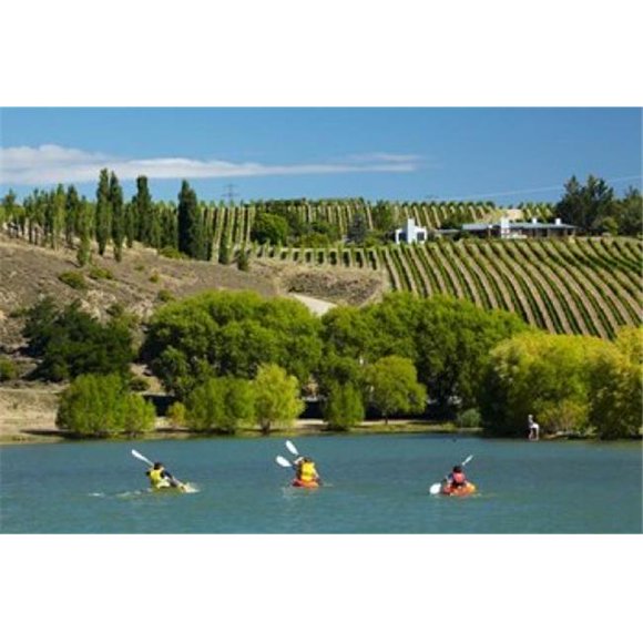 Posterazzi PDDAU02DWA6617 Kayakers & Vineyard Bannockburn Inlet Lake Dunstan Central Otago South Island New Zealand Poster Print by David Wall