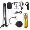 thumbnail image 1 of Condenser Microphone Bundle  BM-800 Mic Kit with Adjustable Mic Suspension Scissor Arm  Shock Mount and Double-Layer Acoustic Filter for Studio Recording & Brocasting (Gold 2), 1 of 7