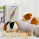 thumbnail image 5 of Juego de 2 juguetes de peluche con forma de conejillo de indias Aoriher de 20 cm, 5 of 8