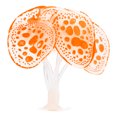 thumbnail image 1 of Coral de Silicona Resplandeciente para Acuario Naranja Unique Bargains, 1 of 1