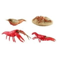thumbnail image 6 of HCTSHG Lobster Toy Sea Animal Growth Toys Life Cycle of Crab Realistic Looking Crawfish Sea Marine Party Favors Toy for Cake Toppers Decoration, 6 of 6